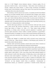 Sprendimų priėmimas: baldų gamyba UAB "Medgilė" 19 puslapis