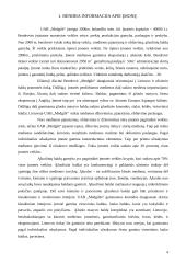 Sprendimų priėmimas: baldų gamyba UAB "Medgilė" 4 puslapis