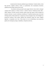 Sprendimų priėmimas: baldų gamyba UAB "Medgilė" 5 puslapis