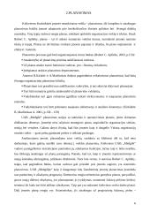 Sprendimų priėmimas: baldų gamyba UAB "Medgilė" 6 puslapis