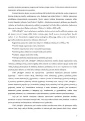 Sprendimų priėmimas: baldų gamyba UAB "Medgilė" 7 puslapis