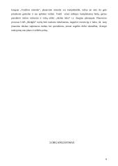 Sprendimų priėmimas: baldų gamyba UAB "Medgilė" 8 puslapis