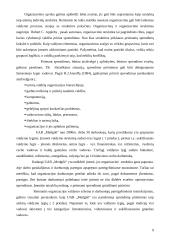 Sprendimų priėmimas: baldų gamyba UAB "Medgilė" 9 puslapis