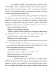 Sprendimų priėmimas: baldų gamyba UAB "Medgilė" 10 puslapis