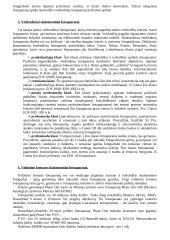 Fototechnika 2 puslapis