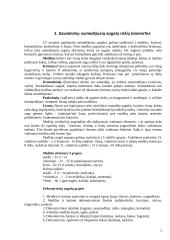 Medžių genėjimo darbai 2 puslapis