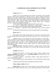 Medžių genėjimo darbai 13 puslapis