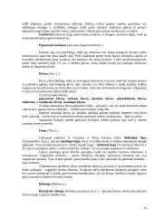 Medžių genėjimo darbai 14 puslapis