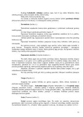 Medžių genėjimo darbai 15 puslapis