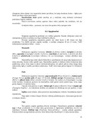 Medžių genėjimo darbai 16 puslapis