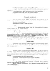 Medžių genėjimo darbai 3 puslapis