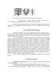 Medžių genėjimo darbai 10 puslapis