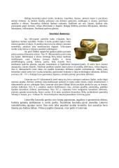 Stiklas ir keramika 5 puslapis