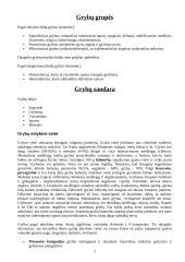 Grybų grupės