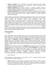 Grybų grupės 2 puslapis