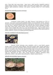 Grybų grupės 11 puslapis