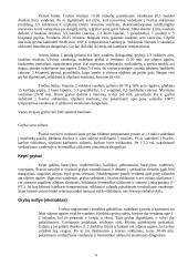 Grybų grupės 6 puslapis
