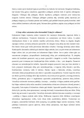 Javų kombaino kuliamoji 2 puslapis