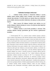 Kolektyvinis darbo ginčas 10 puslapis