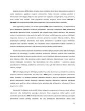 Internetinės svetainės kūrimo technologijos 11 puslapis