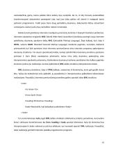 Internetinės svetainės kūrimo technologijos 12 puslapis