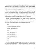 Internetinės svetainės kūrimo technologijos 13 puslapis