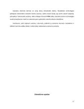 Internetinės svetainės kūrimo technologijos 17 puslapis