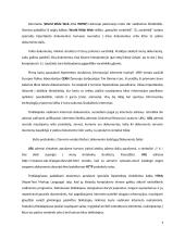 Internetinės svetainės kūrimo technologijos 4 puslapis