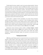 Internetinės svetainės kūrimo technologijos 5 puslapis