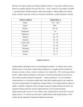 Sviesto skirstymas 5 puslapis