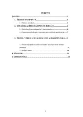 Šeima - vaiko socializacijos aplinka 2 puslapis