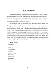 Šeima - vaiko socializacijos aplinka 4 puslapis