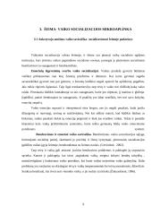 Šeima - vaiko socializacijos aplinka 9 puslapis