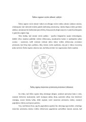 Šešių sigmų kokybės metodologija 8 puslapis
