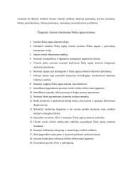 Šešių sigmų kokybės metodologija 9 puslapis