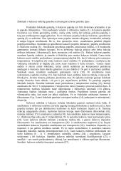 Šokoladas ir kakava 2 puslapis