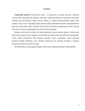 Tarptautinė politika ir muitų sistema 2 puslapis