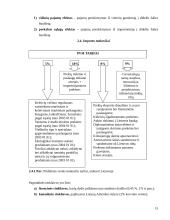 Tarptautinė politika ir muitų sistema 15 puslapis