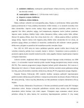 Tarptautinė politika ir muitų sistema 16 puslapis