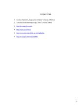 Tarptautinė politika ir muitų sistema 19 puslapis