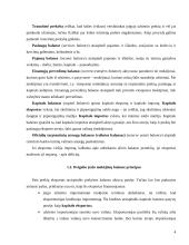 Tarptautinė politika ir muitų sistema 4 puslapis