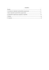 Tarptautinės apskaitininkų organizacijos ir jų įtaka Lietuvos apskaitos sistemai 2 puslapis