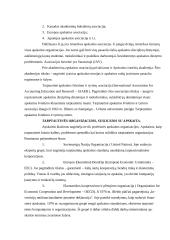 Tarptautinės apskaitininkų organizacijos ir jų įtaka Lietuvos apskaitos sistemai 13 puslapis