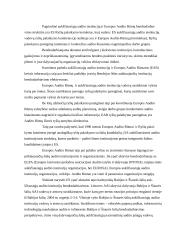 Tarptautinės apskaitininkų organizacijos ir jų įtaka Lietuvos apskaitos sistemai 10 puslapis