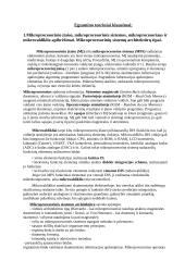 Egzamino iš mikroprocesorių teoriniai klausimai