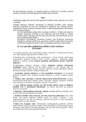 Tarptautinės ginkluoto konflikto teisės laikymasis ir plėtra 11 puslapis