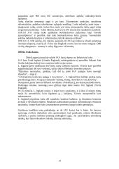 Tarptautinės ginkluoto konflikto teisės laikymasis ir plėtra 13 puslapis