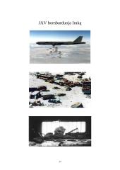 Tarptautinės ginkluoto konflikto teisės laikymasis ir plėtra 17 puslapis