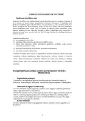 Tarptautinės ginkluoto konflikto teisės laikymasis ir plėtra 4 puslapis