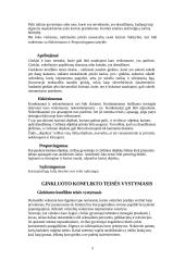 Tarptautinės ginkluoto konflikto teisės laikymasis ir plėtra 5 puslapis